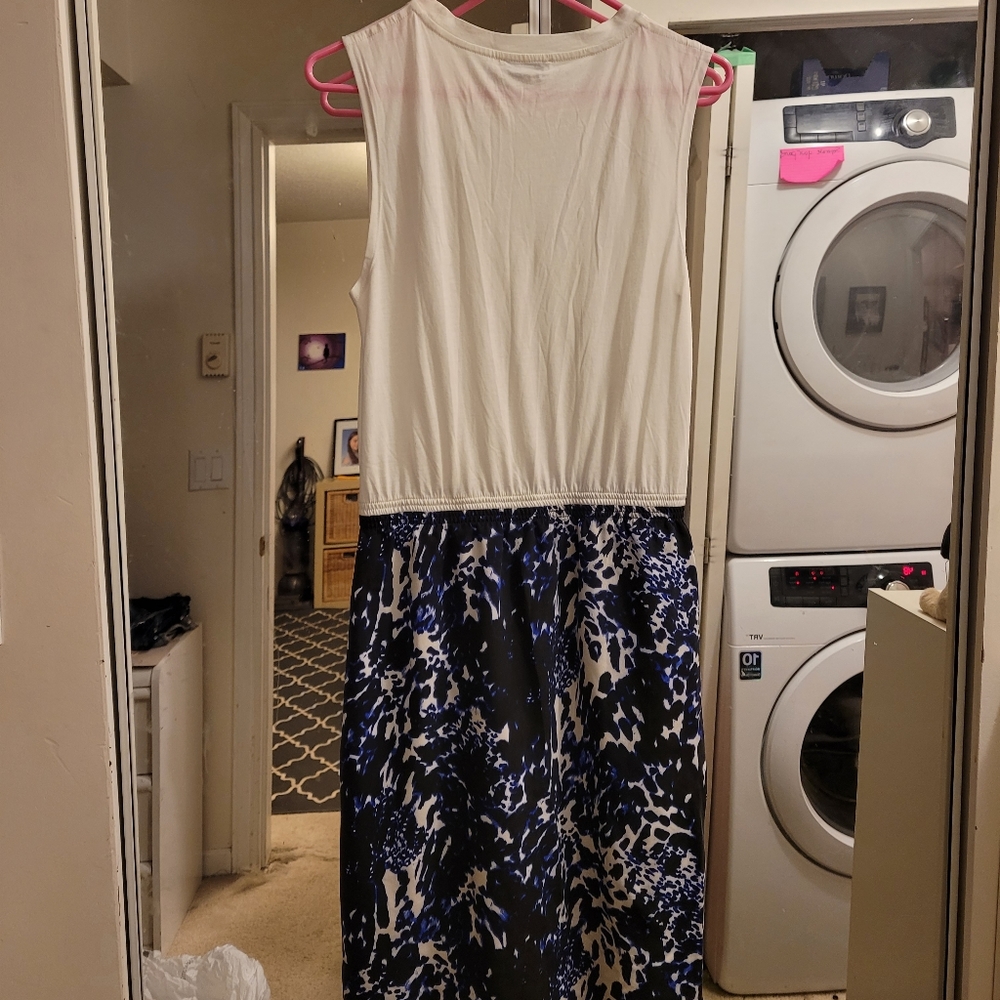 Babaton dress with silk bottom